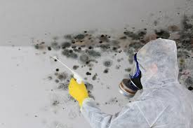 Best HVAC Mold Inspection and Cleaning  in Mclouth, KS